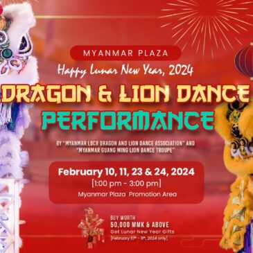Dragon and Lion Dance Performance
